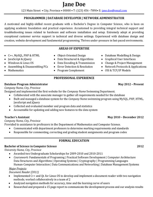Programmer Resume Sample & Template